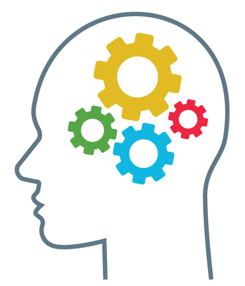 brain