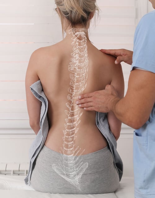 spine